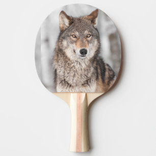 Raquete De Tênis De Mesa Lobo cinzento (lúpus de Canis) com uma parte