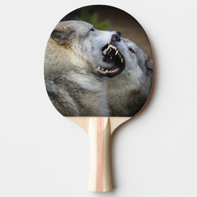 Raquete De Tênis De Mesa Luta do lobo (Frente)