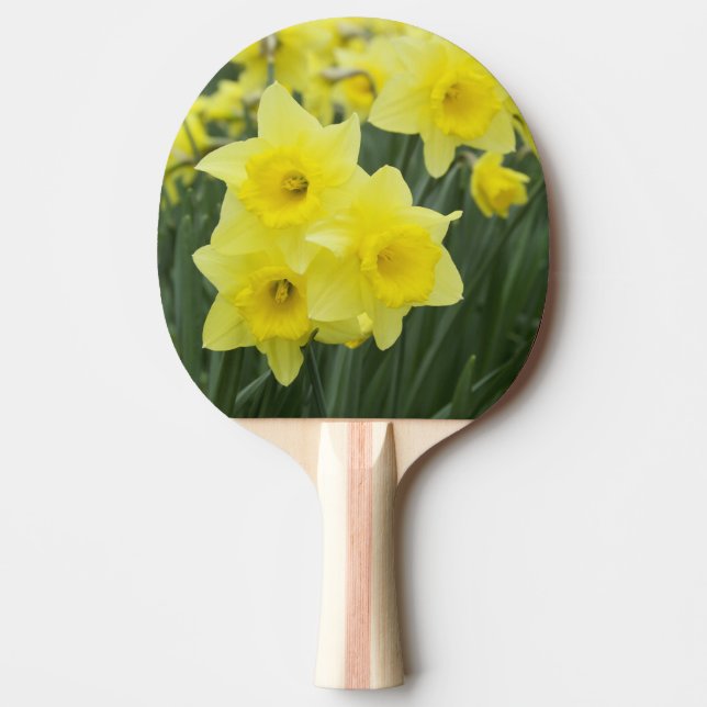 Raquete De Tênis De Mesa Narcisos RF) (Frente)