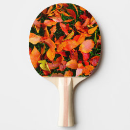Raquete De Tênis De Mesa O Autumn Deixa A Textura Ping Pong Paddle