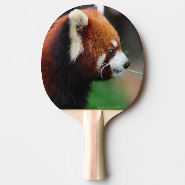 Raquete De Tênis De Mesa Panda vermelha (Frente)
