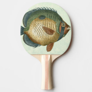 Raquete De Tênis De Mesa Peixe Grande Colorido