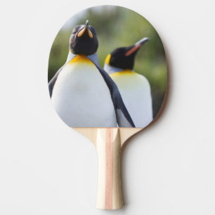 Raquete De Tênis De Mesa Pinguins-rei