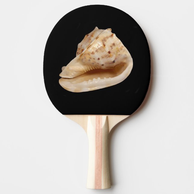 Raquete De Tênis De Mesa Pino do Pino do Conch Shell Ping (Frente)