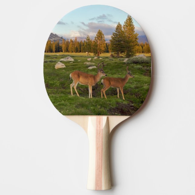 Raquete De Tênis De Mesa Prado de Tuolumne, Yosemite (Frente)