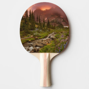 Raquete De Tênis De Mesa Prados Enchanted