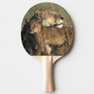 Raquete De Tênis De Mesa Quênia, Reserva de Caça Masai Mara, Leoa