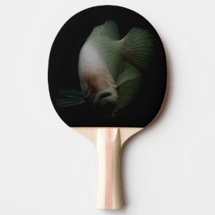 Raquete De Tênis De Mesa Retrato de peixe