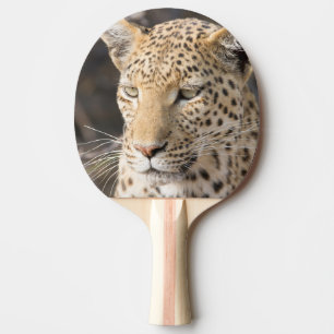 Raquete De Tênis De Mesa Retrato leopardo