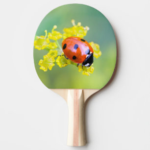 Raquete De Tênis De Mesa senhora no topo