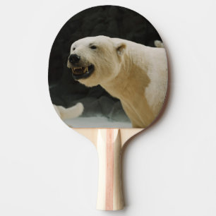 Raquete De Tênis De Mesa Sorrir forçadamente do urso polar