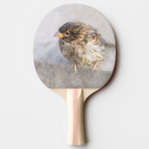 Raquete De Tênis De Mesa Sparrow - Falha Epic Previsão Climática