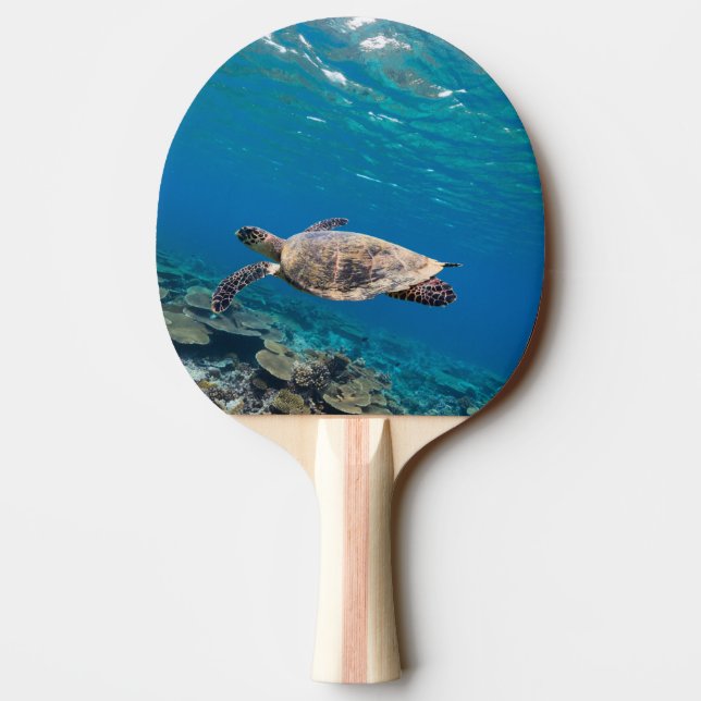 Raquete De Tênis De Mesa Tartaruga marinha (Verso)
