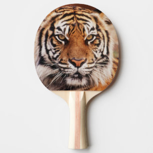 Raquete De Tênis De Mesa Tigre-de-sumatra