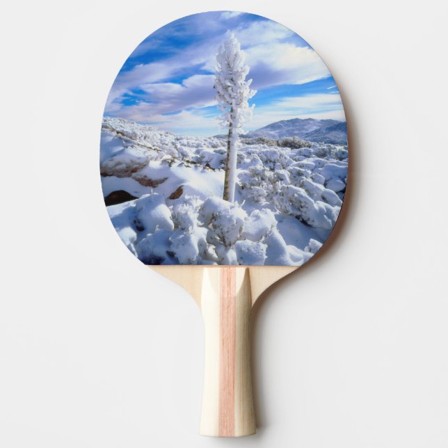 Raquete De Tênis De Mesa Um yucca coberto de neve (Frente)