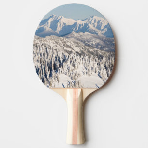 Raquete De Tênis De Mesa Uma vista cénico de montanhas nevado e de árvore
