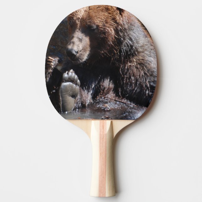 Raquete De Tênis De Mesa Urso embebendo (Frente)