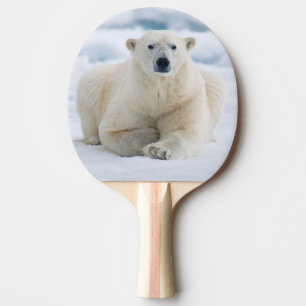 Raquete De Tênis De Mesa Urso polar adulto no gelo flutuante de verão