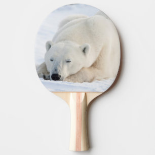 Raquete De Tênis De Mesa Urso Polar no inverno
