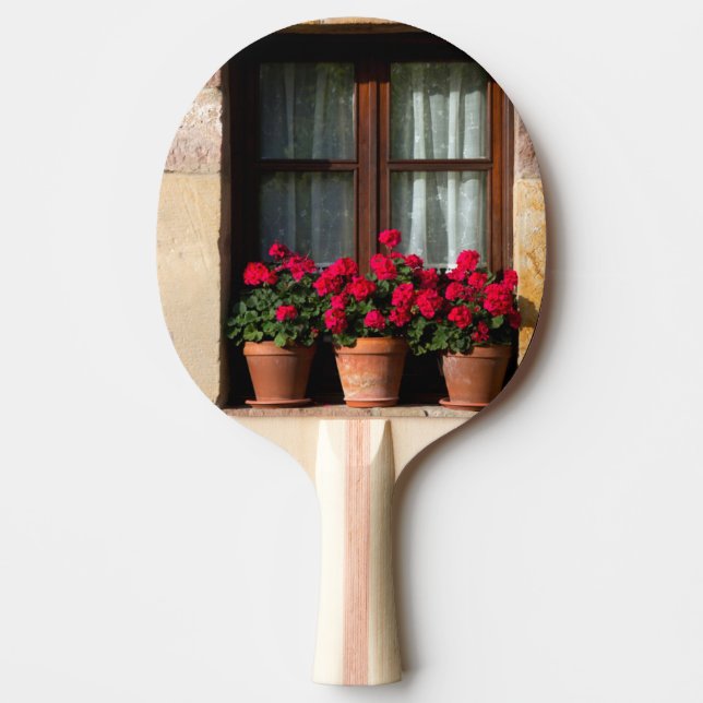 Raquete De Tênis De Mesa Vasos de flores na janela da aldeia (Frente)