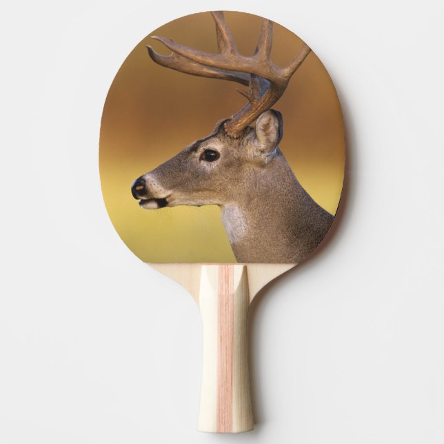 Raquete De Tênis De Mesa Veado-mateiro, Odocoileus virginianus, (Frente)