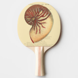 Raquete De Tênis De Mesa Vintage Red Conch Shell