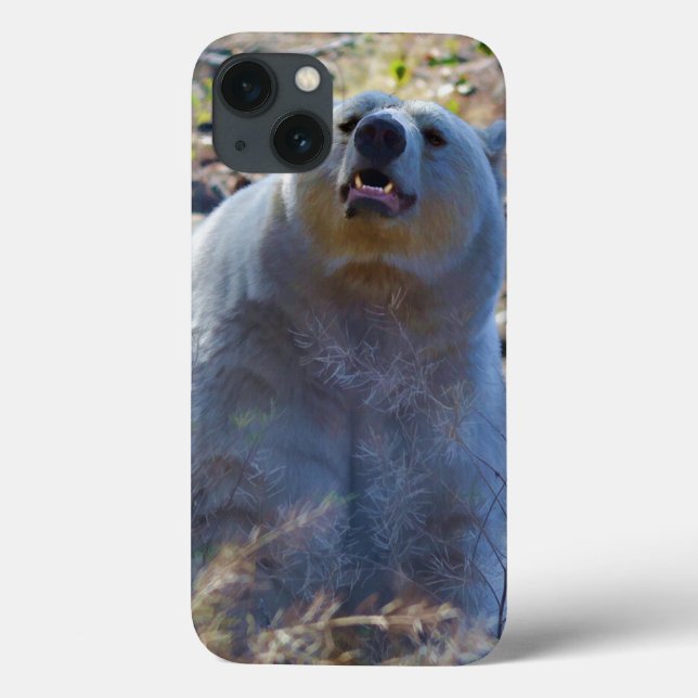 Rare Kermode Bear (Spirit Bear) (Verso)