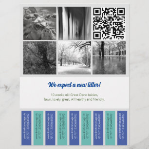 Rasar Off Flyer Puppy venda verde azul