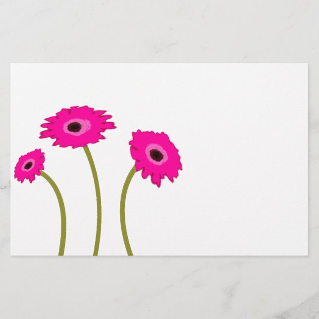 Raspberry Gerber Daisy (Frente)