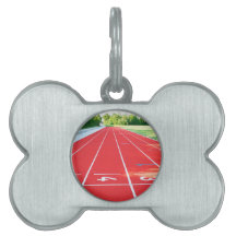 Rastreamento E Campo