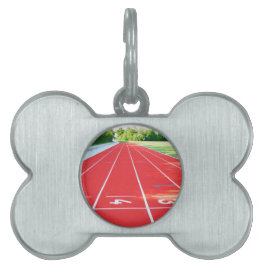 Rastreamento E Campo