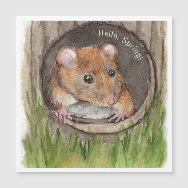 Rato Aquarela Rústica (Frente)