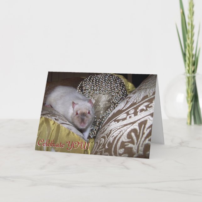Rato do animal de estimação, cartão de aniversário (Frente)
