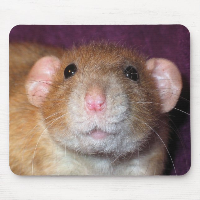 Rato Dumbo Mousepad (Frente)