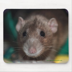 Rato extravagante Mousepad de Dumbo