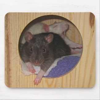 Rato Mousepad
