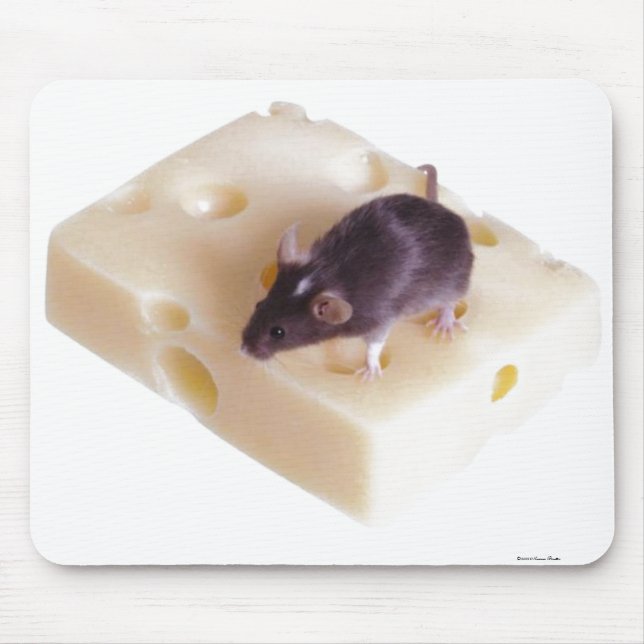 Rato Mousepad do queijo suíço (Frente)