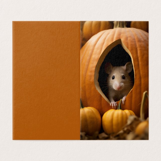 Rato Pumpkin (Exterior Desdobrado)