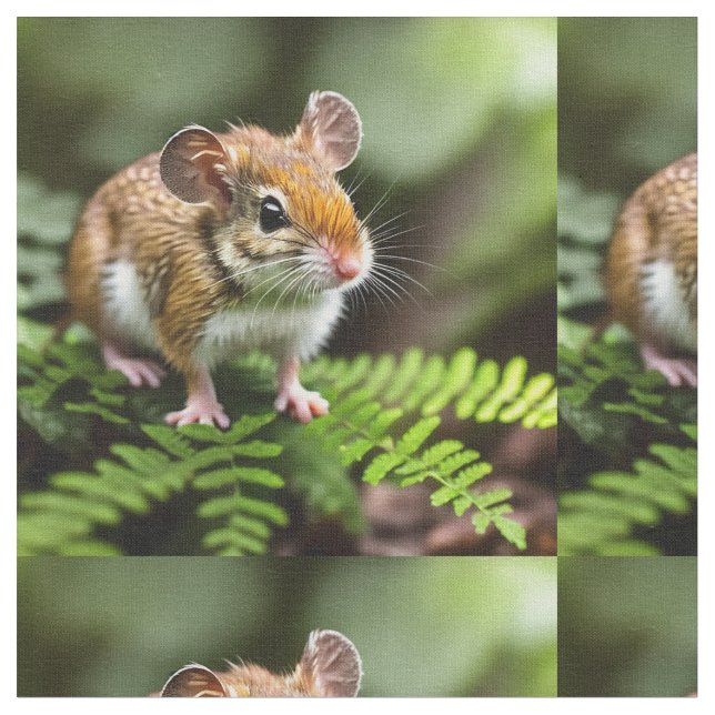 Rato Saltador Australiano, Tecido (Detalhe)