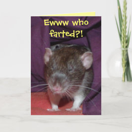 ratos falando cartão de saudações personalizável