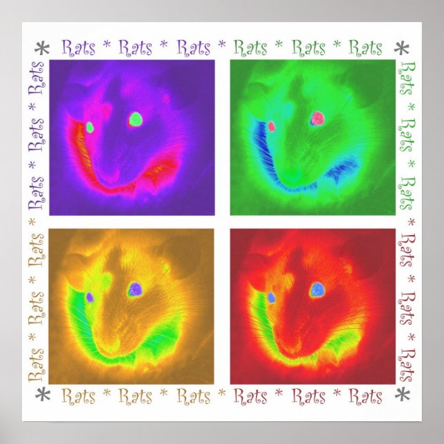 Ratos Ratos Ratos Poster (Frente)