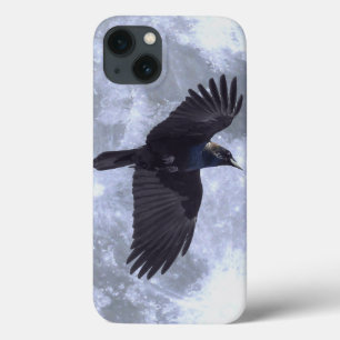 Raven Negro Voador Gótico, Céltico, Vida Selvagem
