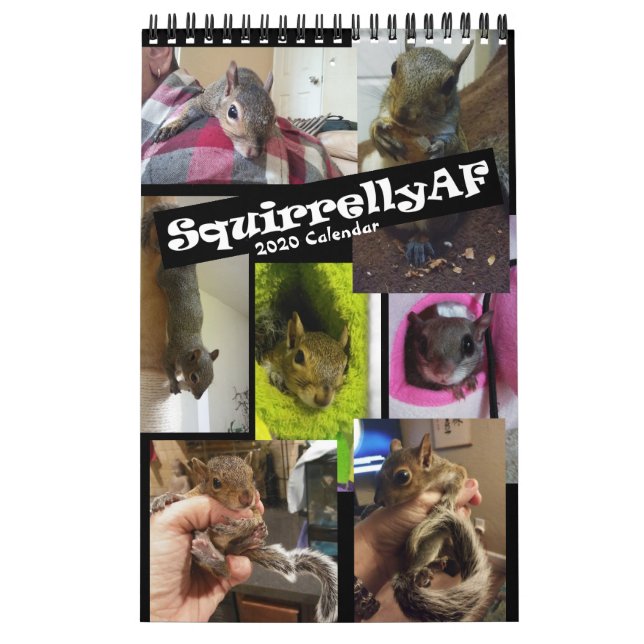 Reabilitação de Esquilo| Calendário de Parede de S (Capa)