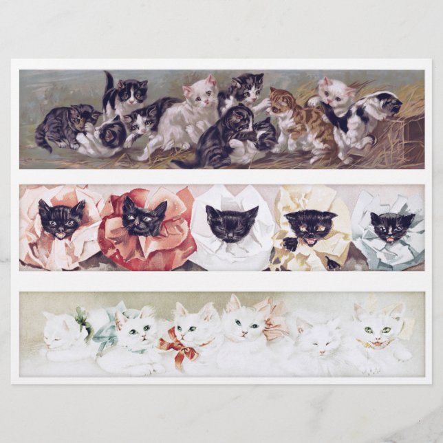 Real (not AI) Long Victorian Era Cat Illustrations (Frente)