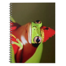 Realeza Florestal - Caderno de Fotos Espiral