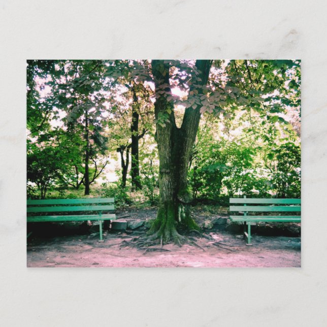 Recaxando cartão postal (Frente)