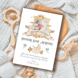 Recém-Nascido Nascimento Anúncio Foto Crest Stort