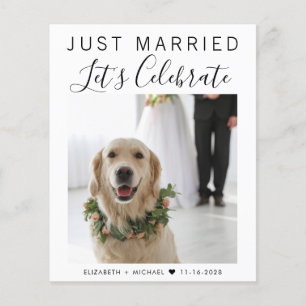 Recepção de casamento de Fotografias do Recem casa