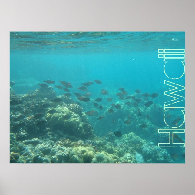 Recife de corais submarino Hawaii poster (Frente)