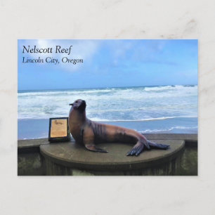 Recife de Nelscott, Lincoln City, Cartão Postal do